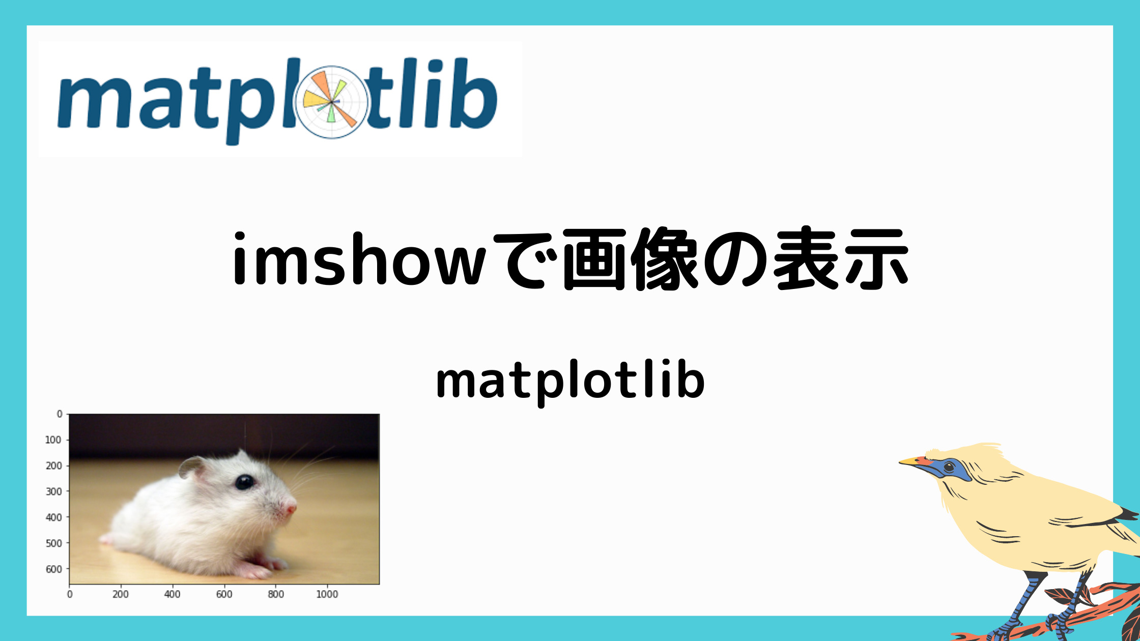 matplotlibのimshowの記事のアイキャッチ